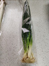 安心小香葱约150g 实拍图