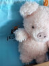 Jellycat小猪可爱公仔动物毛绒玩偶小玩偶娃娃送礼三八节女神生日礼物 粉红色 Little 实拍图
