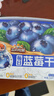 三只松鼠每日蓝莓干256g/16包 无添加水果干果脯小包装儿童老人办公室零食 实拍图