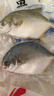 1号会员店（One's Member）甄选海南二去金鲳鱼 700g/2条装 去鳃去内脏 生鲜 鱼类 海鲜水产  实拍图