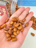 百草味 东北松子500g 坚果量贩手剥开口原味干果每日坚果礼物送礼 实拍图