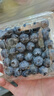怡颗莓Driscoll's云南蓝莓Jumbo大果18mm+4盒装约125g/盒 新鲜年货水果 实拍图