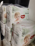 好奇（Huggies）小森林拉拉裤XXL30片(15kg以上)尿不湿心钻【透氧顶配更低敏】 实拍图