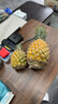 广东徐闻香水菠萝新鲜水果生鲜热带孕妇水果整箱包邮 2个装 净重3-3.5斤 单果650g起 实拍图