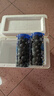 京鲜生 美益粒POP蓝莓脆脆桶18mm+大果 2桶装 180g/桶  源头直发 包邮 实拍图