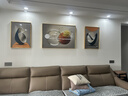 诗六艺家饰客厅装饰画北欧现代简约沙发背景墙挂画三联画大气轻奢壁画晶瓷画 福禄纳财（铝合金外框） 晶瓷画左右50*70+中间100*70亮面 实拍图