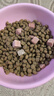 麦富迪猫粮 超肉粒冻干双拼幼猫粮免疫护肠胃 三文鱼10kg/20斤 实拍图