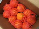 京鲜生 爱媛果冻橙 净重10斤装 单果180g起 生鲜水果柑橘桔子年货礼盒  实拍图