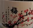 裕轩堂花盆陶瓷梅兰创意特大号简约绿萝吊兰阳台室内多肉托盆家用带托盘 梅//82060 特大直径21左右 实拍图