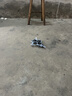 jjr/c非大疆战斗机无人机遥控飞机飞行器航模儿童玩具男孩生日新年礼物 实拍图