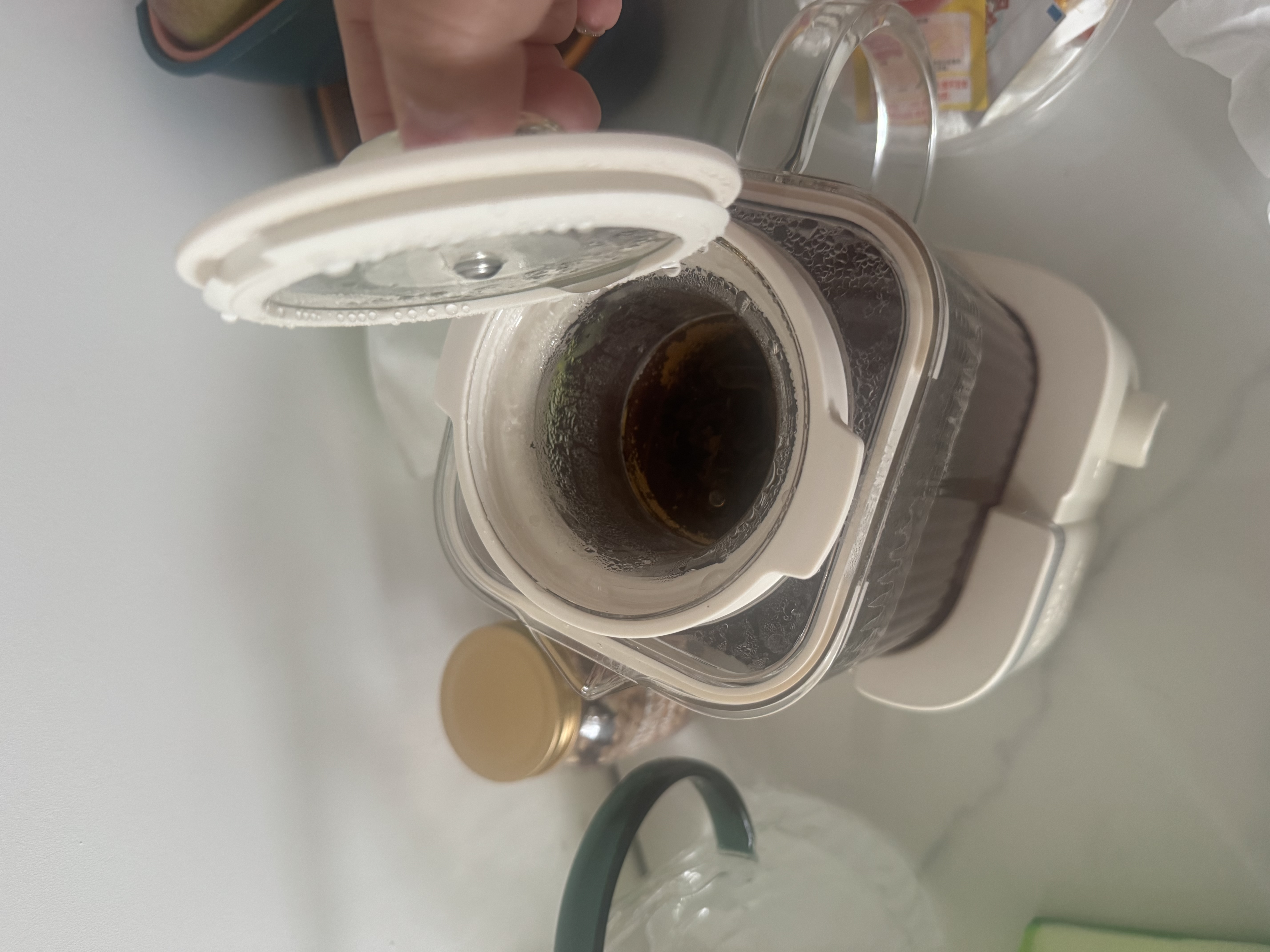 BASSENS巴森小方炖全玻璃养生壶煮茶器煮茶壶恒温家用热奶器电水壶小型烧水泡茶壶电陶炉水果花茶壶炖盅款 实拍图
