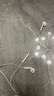 Apple/苹果 EarPods 闪电/Lightning有线耳机 苹果耳机有线耳机原装耳机 适用闪电接口的手机平板 实拍图