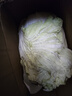 山东寿光大白菜黄心大娃娃菜农户现摘新鲜蔬菜原产地整箱批发 寿光白菜带箱5斤净重4.5斤 实拍图