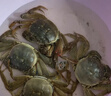 【活蟹】漁家师傅优选大闸蟹六月黄2-2.3两8只 去绳足重鲜活螃蟹生鲜水产礼盒 源头直发 实拍图