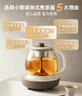 小熊（Bear）迷你养生杯养生壶煮茶器 316不锈钢办公室煮茶壶恒温烧水壶小型花茶壶0.6升YSH-E06H1  实拍图