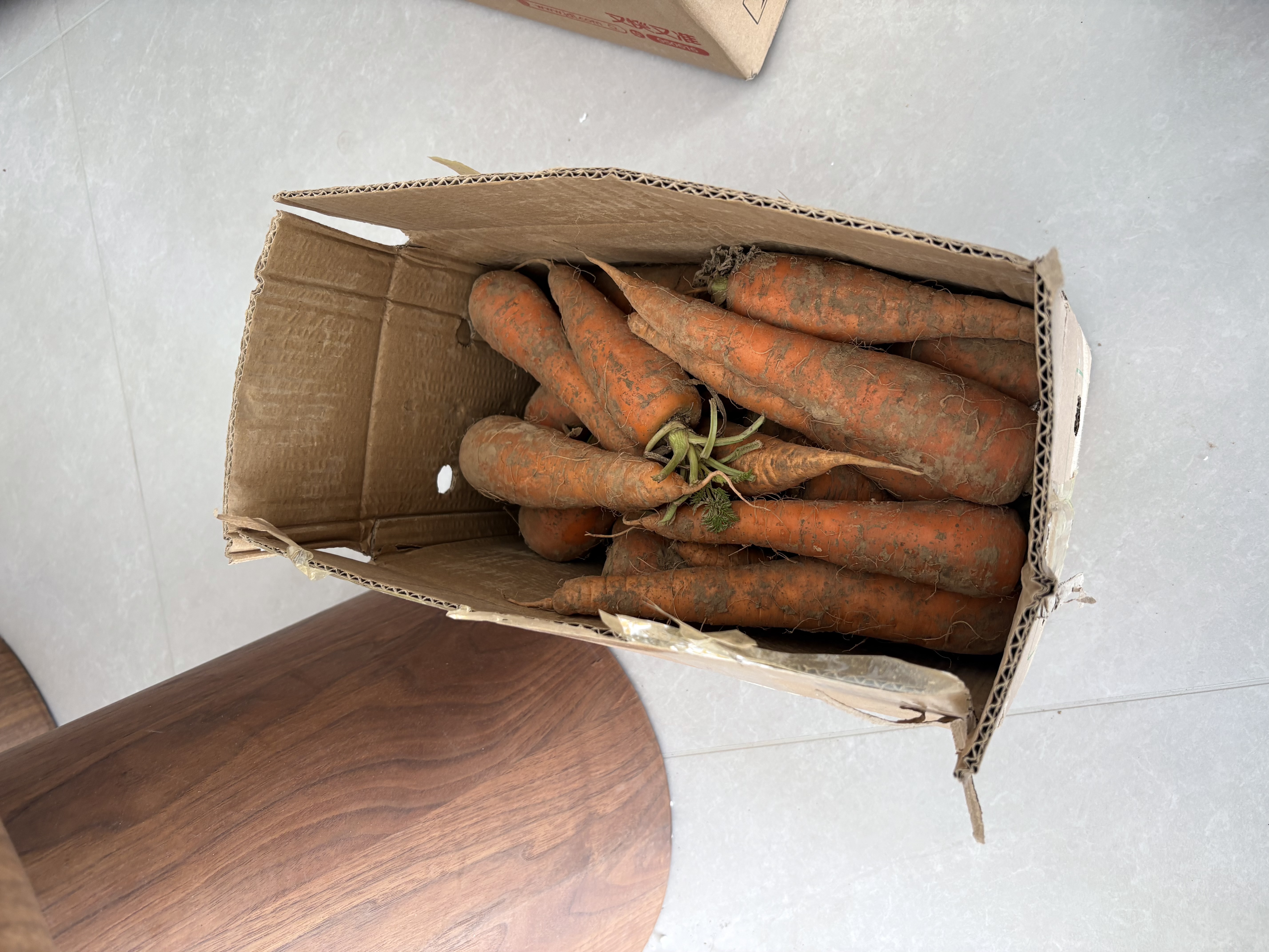 河南新鲜胡萝卜当季农家自种萝卜脆爽多汁水果蔬菜胡萝卜素直播 新鲜胡萝卜 9斤 净重 100g起/支 实拍图