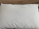 水星家纺枕头枕芯酒店枕头护颈枕头芯家用单个纯棉抗菌可水洗中枕48x74cm 实拍图
