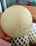 京鲜生 【年货】海南头茬玉菇甜瓜 净重8-9斤 3-4粒装 水果源头直发包邮 实拍图