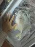 1号会员店（One's Member）甄选海南二去金鲳鱼 700g/2条装 去鳃去内脏 生鲜 鱼类 海鲜水产  实拍图