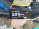 天能电池免维护摩托车电瓶YTX7A海王星女装踏板车铃木12v通用蓄电池 实拍图