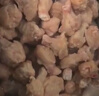 正大食品（CP）白羽鸡翅根2斤 生鲜冷冻 鸡肉烤鸡翅鸡肉 腌制鸡肉春节送货 实拍图