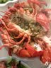 首鲜道【活鲜】波士顿龙虾鲜活波龙 大龙虾海鲜鲜活礼盒大虾年货礼盒 波龙1-1.2斤*2只（同城闪送） 实拍图