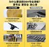 DBH滑板专业板初学者儿童成年人男女6-12-18岁双翘板四轮银龙8.0英寸 实拍图