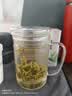 奇思猫玻璃泡茶杯男女茶水分离花茶杯子带把玻璃水杯高硼加厚大容量水杯 (玻璃内胆)450ml 实拍图