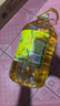 金龙鱼 食用油 非转基因 物理压榨玉米油6.18L（蕴含植物甾醇） 实拍图