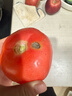 番茄约500g 实拍图