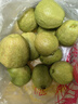探味君 广西红心芭乐番石榴 新鲜水果生鲜健康轻食带箱 软糯红心芭乐净重5斤（活动装） 实拍图