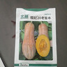北蔬 南瓜种子苗甜糯板栗味老品种杂交蔬菜种籽 糯妃20老蜜本种子20粒 实拍图