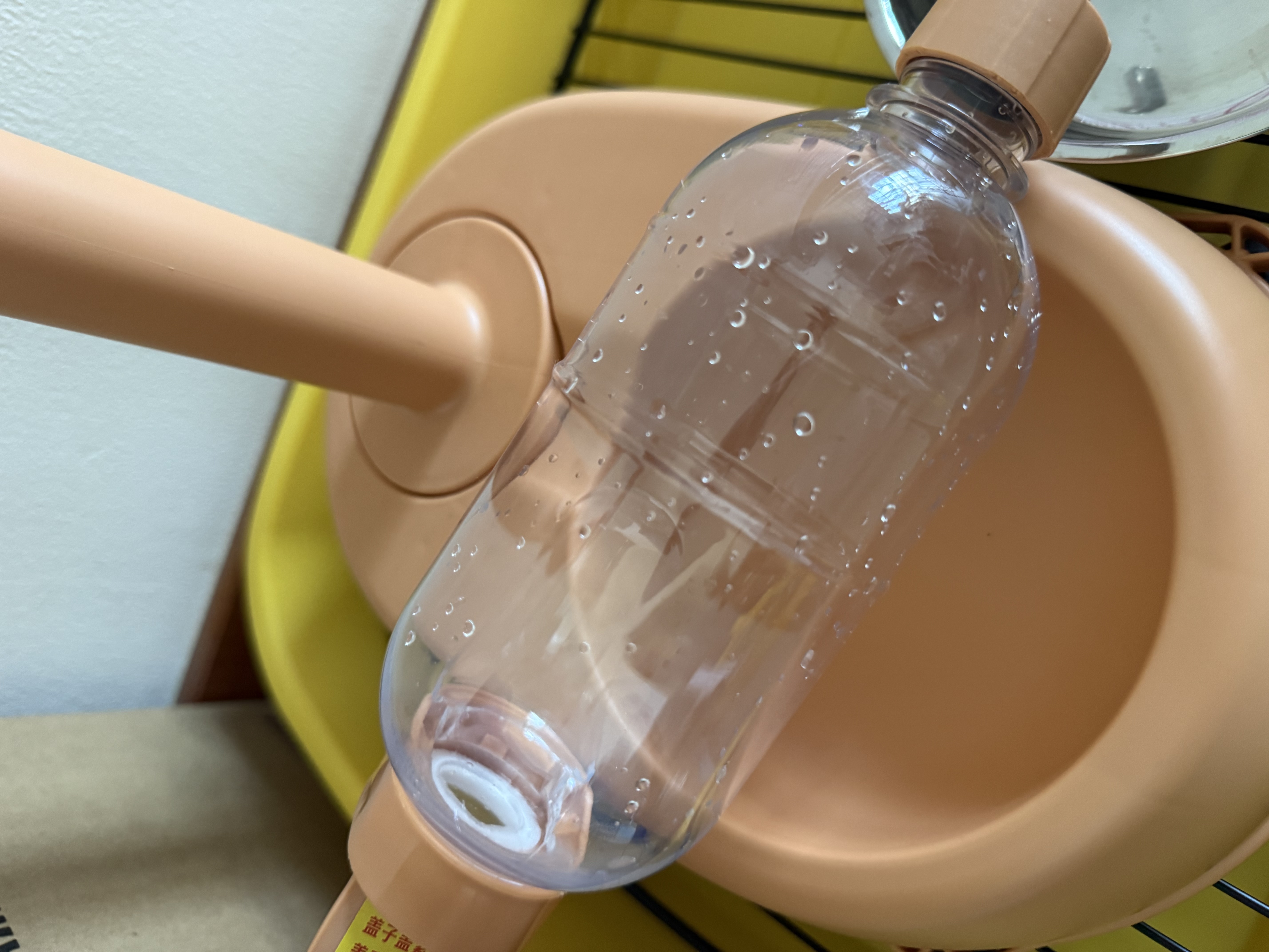 华元宠具（hoopet）立式狗狗自动饮水器不湿嘴狗碗水壶挂式滚珠悬挂式宠物饮水机狗碗 活力橙【高度可调，水壶可挂笼】 实拍图