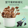 富昌 茶树菇250g 福建特产 茶树蘑菇 煲汤炒菜火锅食材 实拍图