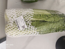 青麻叶大白菜1.2kg 实拍图