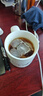京东京造 纸杯一次性杯子咖啡杯三层加厚食品级办公家用水杯280ml【60只】 实拍图