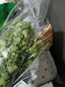 带根香菜100g 实拍图