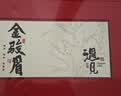 山水西湖武夷红茶蜜香型金骏眉特级250g2026新茶小种正山茶叶礼盒装送领导 实拍图