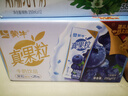 蒙牛真果粒蓝莓味牛奶饮品250g*12盒 小黄鸭IP 礼盒新老包装 含乳饮料 实拍图