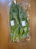 安心韭菜250g 实拍图