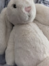 Jellycat害羞乳白色邦尼兔动物毛绒玩偶安抚玩偶娃娃送礼生日礼物 害羞乳白色邦尼兔 Medium 实拍图