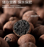史丹利中号陶粒垫底小陶粒土养花专用多肉花用铺面花盆花卉种花园艺5L 实拍图