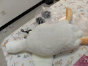 熊猫熊大白鹅睡觉抱枕公仔娃娃玩偶毛绒玩具女孩毕业礼物男孩生日礼物女生送女朋友同学儿童大鹅布娃娃大号女生陪睡觉抱枕长条布偶男友成人夹腿实用靠枕90cm 实拍图