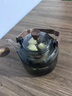 茗光煮茶壶电陶炉煮茶器蒸煮一体茶壶烧水煮茶炉养生壶2025年新款 实拍图