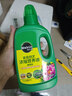 美乐棵植物通用营养液磷酸二氢钾花肥肥料绿萝发财树植物营养液500ML 实拍图