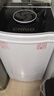 志高（CHIGO）【政府补贴立减15%】脱水机甩干机小型迷你家用甩干桶出租房宿舍大容量单杠脱水桶烘干一体 【国补】10KG烘干款（智能按键） 波轮 实拍图