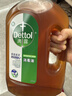 滴露（Dettol）消毒液消毒水衣物除菌液 灭活甲型H3N2流感病毒杀菌除螨非84酒精 【家居消毒】 1.8L 1瓶 实拍图