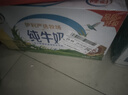伊利【新鲜日期】纯牛奶250ml*24盒 优质乳蛋白 严选牧场 年货礼盒装 实拍图