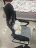 舒客艺家电脑椅办公椅职员网椅会议椅家用靠背休闲椅子弓形学生宿舍学习椅 WE黑色弓形-可后躺【海绵款】 实拍图