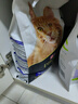 冠能猫粮7岁以上老年猫猫粮2.5kg 全价猫粮 延长健康生活时间 实拍图